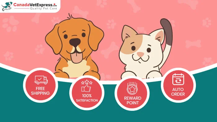 Convenient Online Pet Pharmacy Solutions for Modern Pet Owners