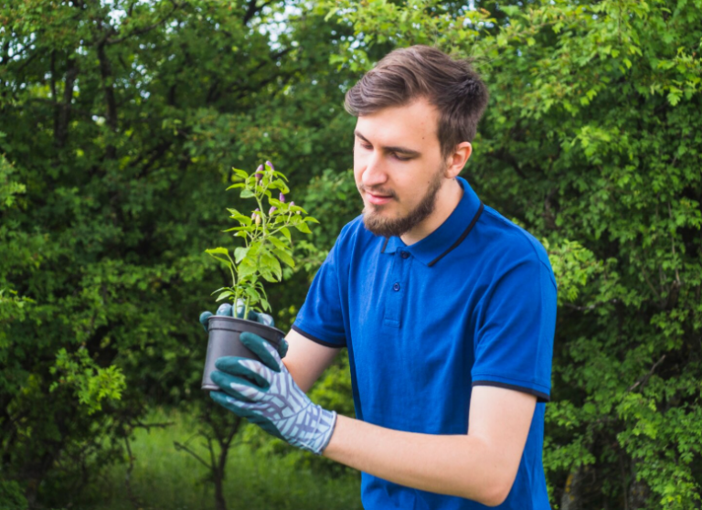 Pondkeeper, Simple Solutions for a Healthier and More Beautiful Pond