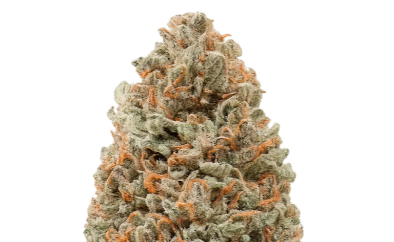 Understanding Hemp Products and Making Informed Consumer Choices