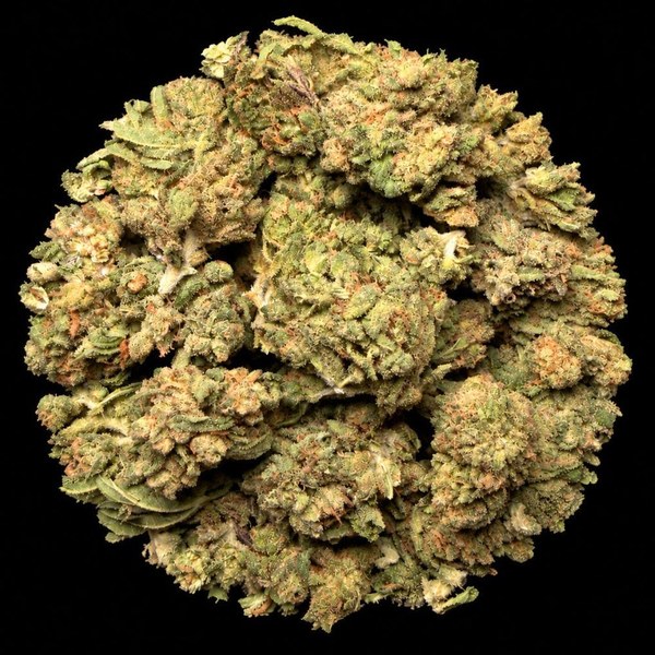 Pile of smaller green flower buds arranged in a circle on a black background