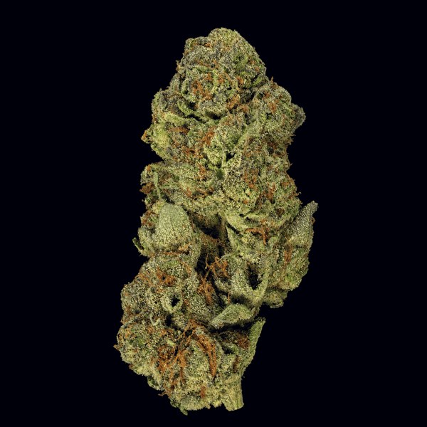 Elongated green hemp flower bud photographed against a dark background