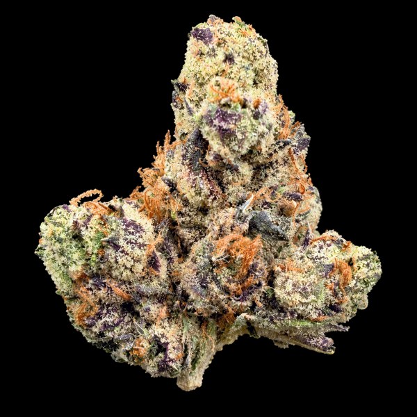 Purple and green flower bud with orange hairs and frosty trichomes