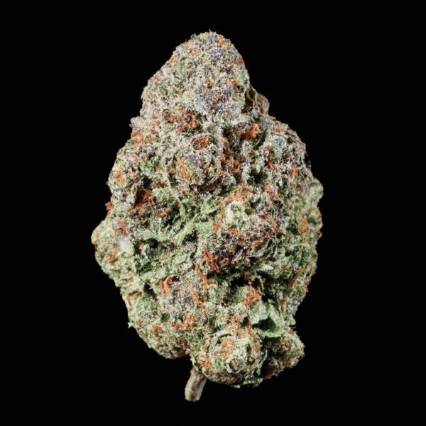 Single green and purple flower bud with light trichome coverage