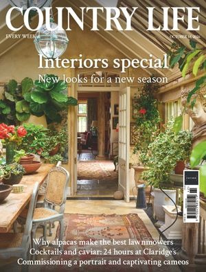 Country Life magazine cover