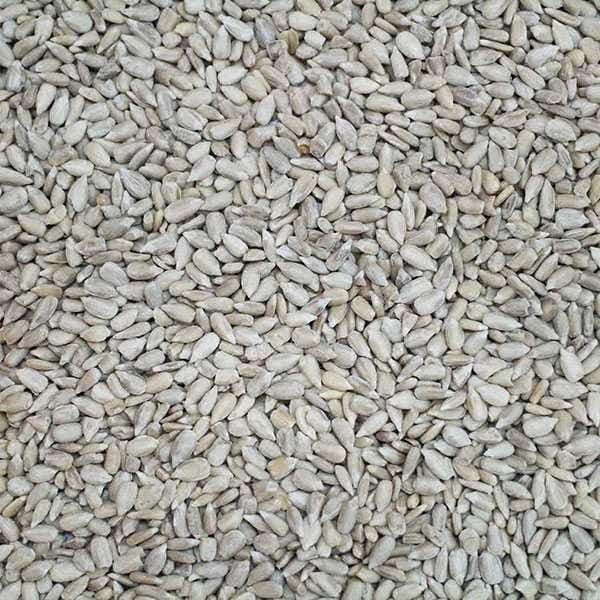 Sunflower hearts husk-free bird seed from Garden Wildlife Direct